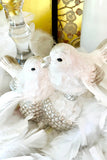 Pair of Sparkling Birds Atop Acorns