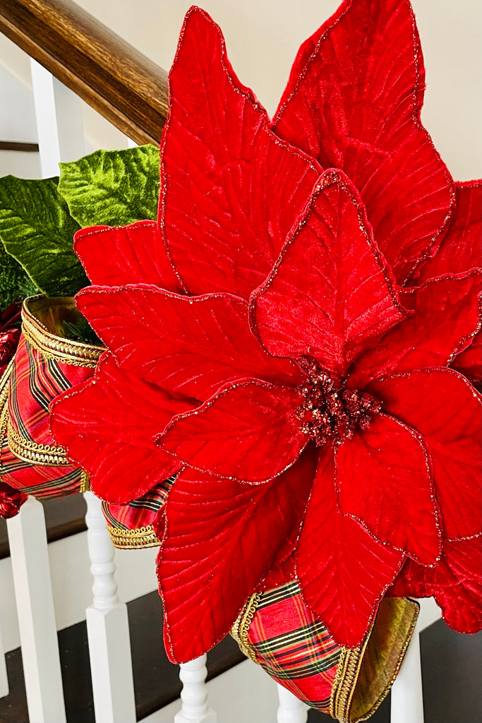 Grand Red Velvet Poinsettia