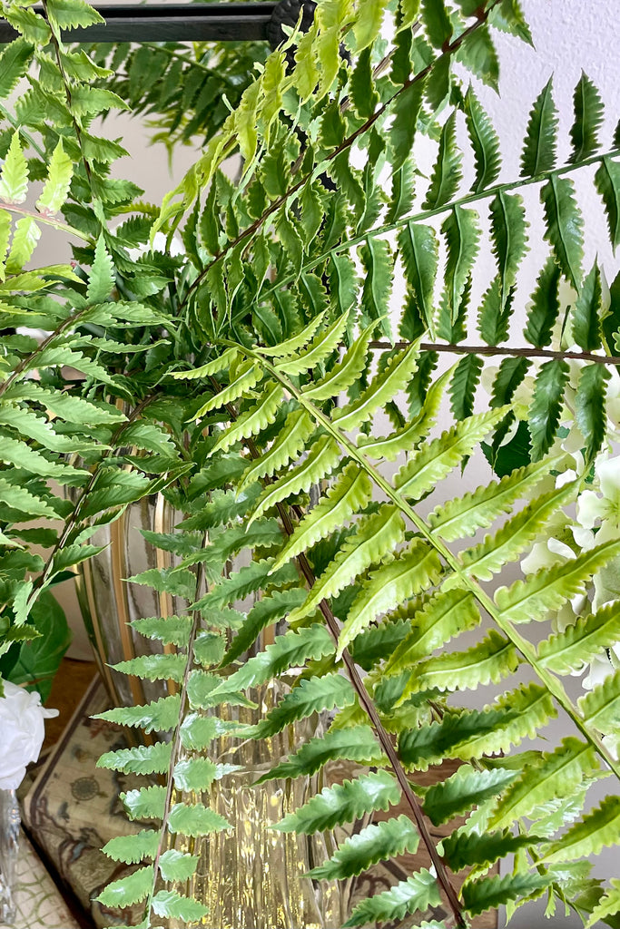 24'' Fern Bush