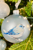 Matte Winter Birds European Glass Ornaments, Set of 6