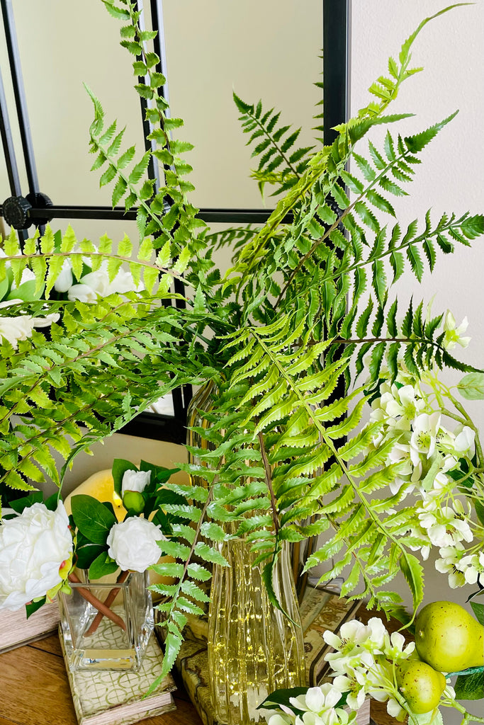 24'' Fern Bush