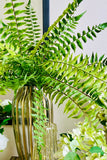 24'' Fern Bush