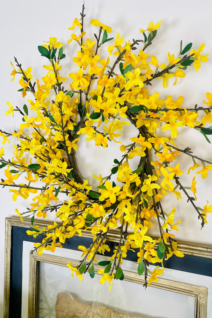 Forsythia Candle Ring / Wreath, Choice of Size