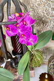 Real Touch Purple Orchid with Moss Ball