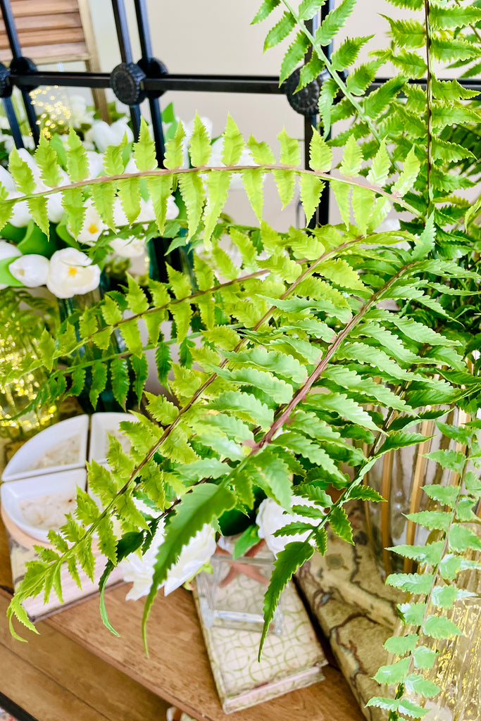 24'' Fern Bush
