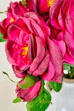Deep Pink Austin Roses, Set of 4