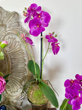 Real Touch Purple Orchid with Moss Ball