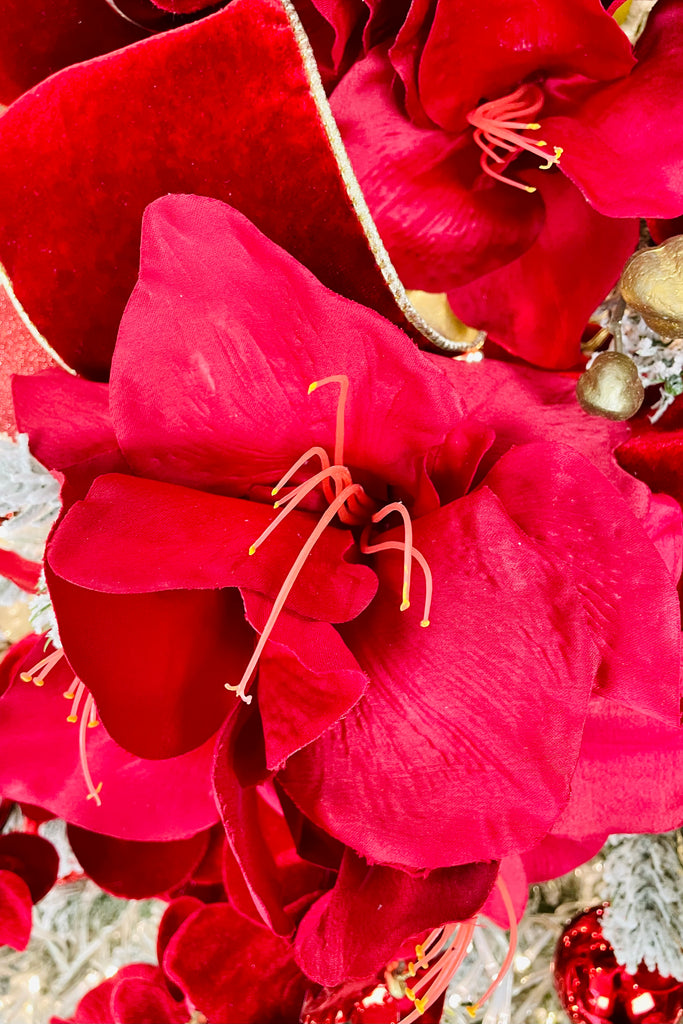 Red Amaryllis Stem, Set of 2