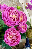Set of 6 Real Touch Austin Rose Stems