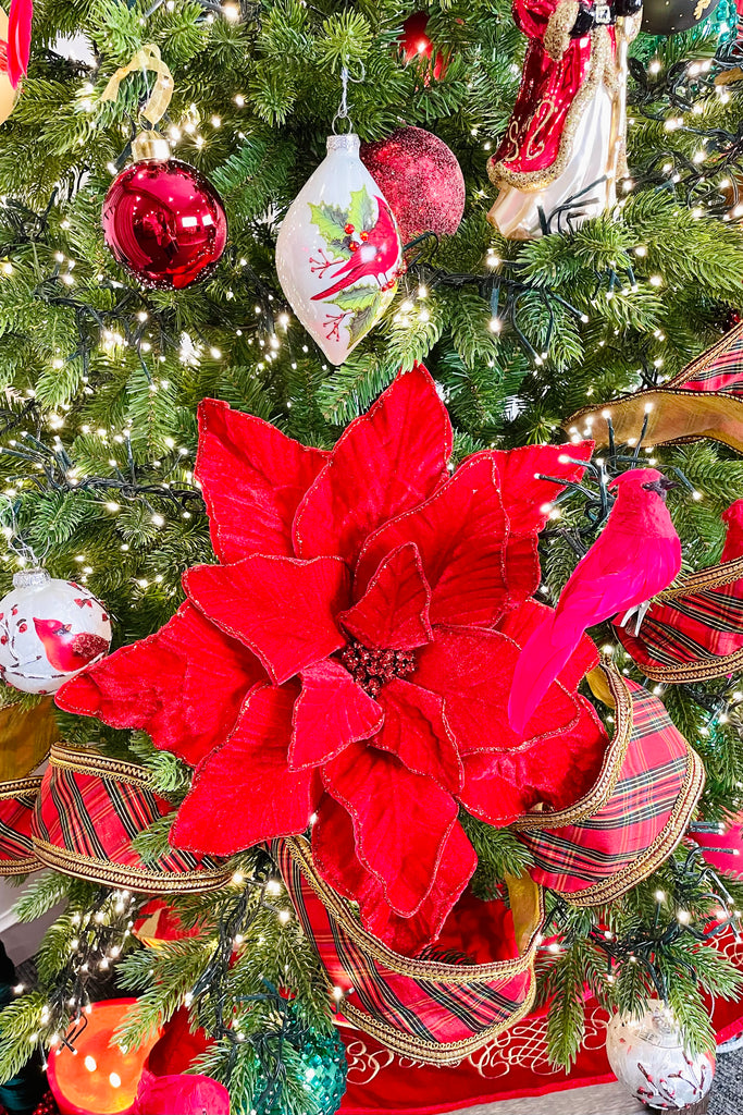 Grand Red Velvet Poinsettia