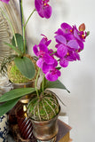 Real Touch Purple Orchid with Moss Ball