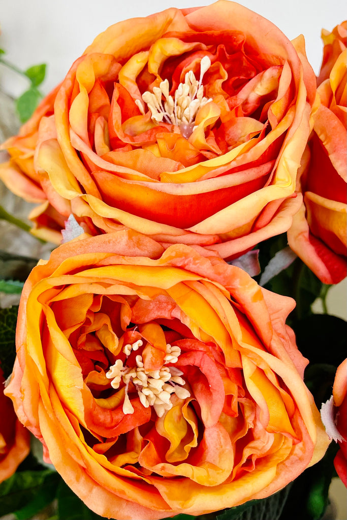 Set of 6 Real Touch Austin Rose Stems