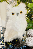 White Winter Owls, Set of 2