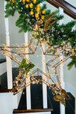 Outdoor Metal Star with Cluster Lights