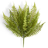 24'' Fern Bush