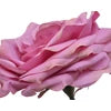 Velvet Pink Rose Blooms, Set of 6