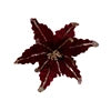 Oxblood Christmas Flower, Set of 3