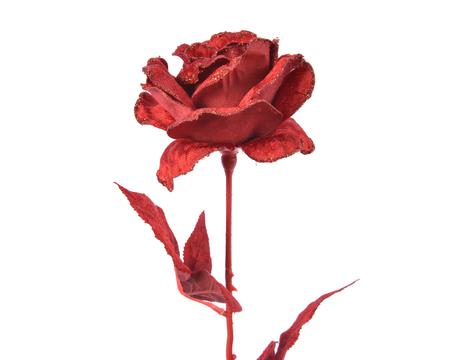 Shades of Red Rose Branches, Set of 6