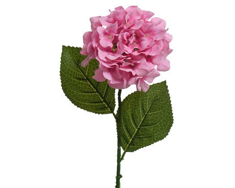 Pink Hydrangeas - Set of 6