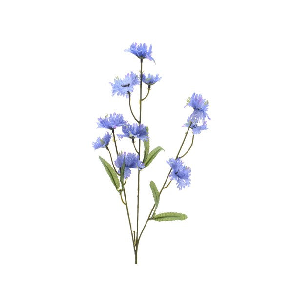 Purple Cornflower Bouquet, Set of 12