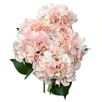 22" Hydrangea Bush with Leaves in Light Pink, Set of 2