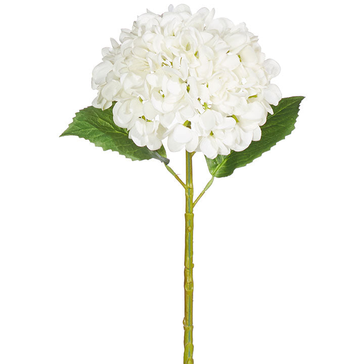 20" Real Touch White Hydrangea Stem, Set of 6