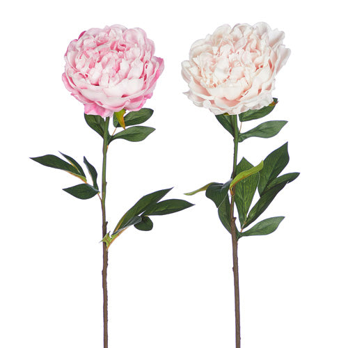 27" Real Touch Pink Peony Stems, Set of 3