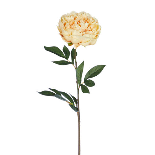 27" Real Touch Pink Peony Stems, Set of 3