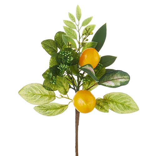 15" Lemon Pick - Set of 4