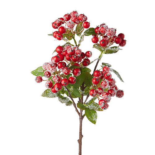 22.75" Snowy red Berry Bush, Set of 3