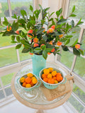 Peach Sprays - Set of 4