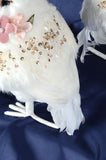 Sparkling White Owls with Flower Collars