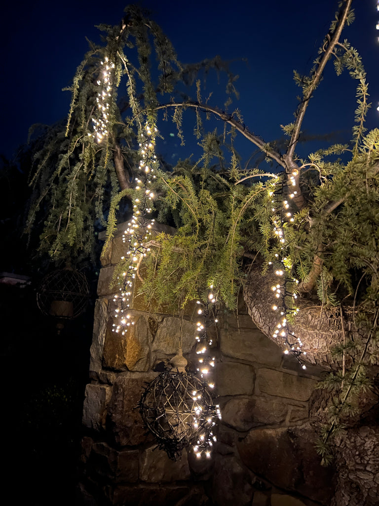 appetit optager Vært for Outdoor Cascading LED Twinkle Lights - Battery Operated! – Lisa Robertson