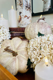 Cream Pumpkins W/Brown Speckles and Streaks, Set of 2