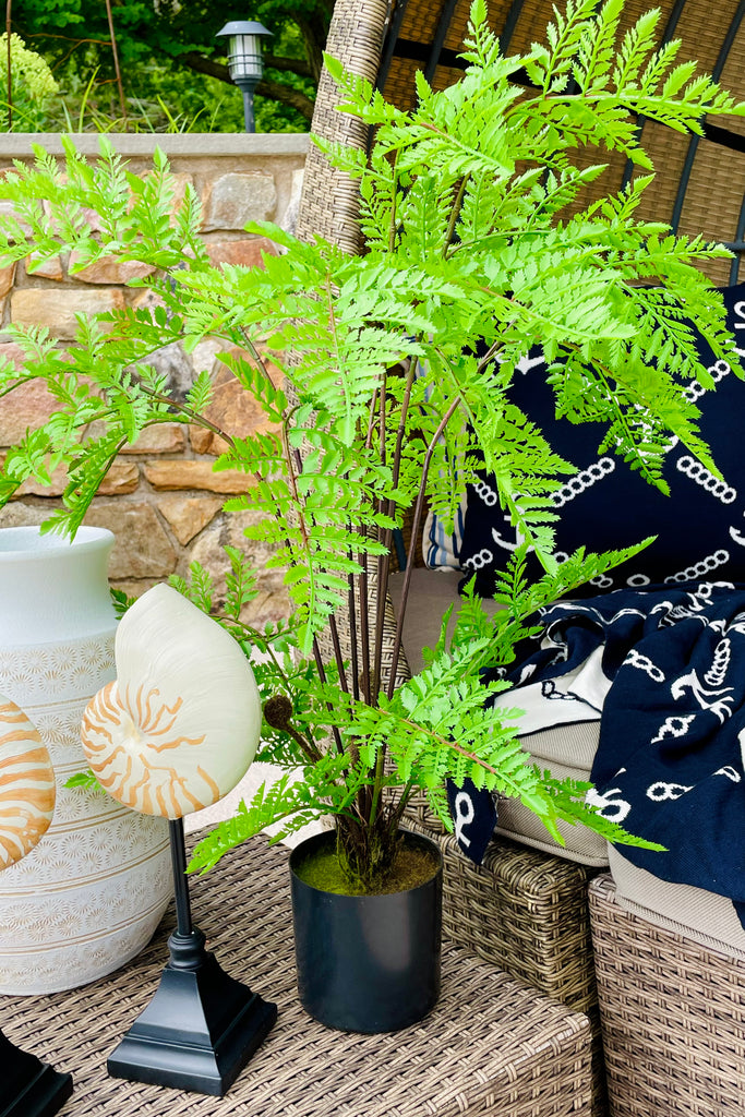 26" Potted Fern