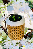 Cream Metal and Rattan Solar Light Hanging and Stake Set