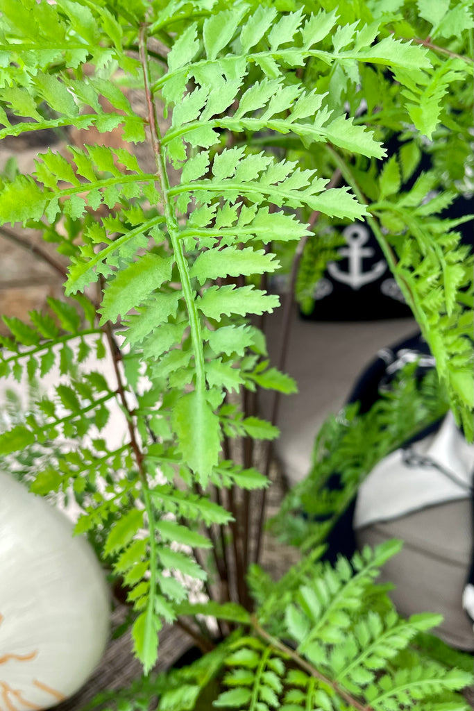 26" Potted Fern