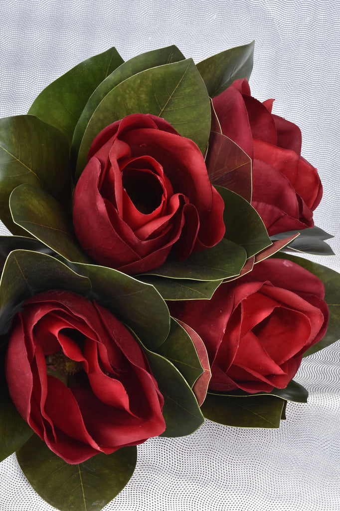 Red Magnolia Blooms