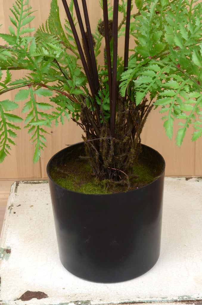 26" Potted Fern