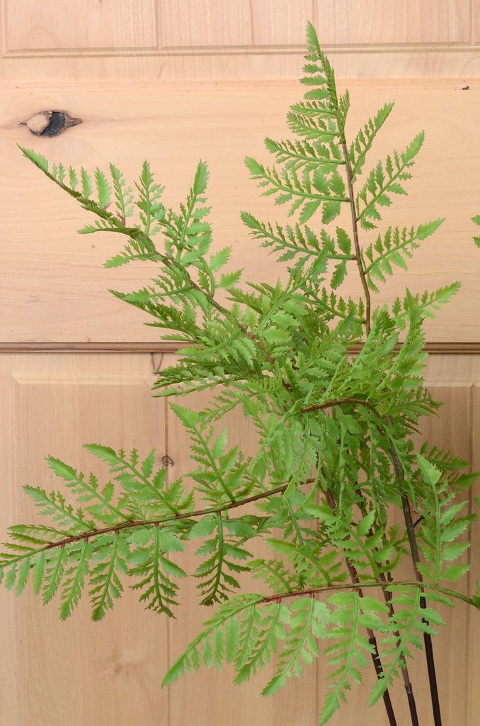 26" Potted Fern