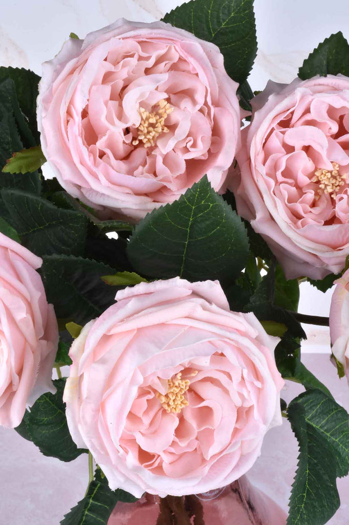 Set of 6 Real Touch Austin Rose Stems