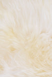 Luxury Size Lined and Padded Ivory Sheepskin Rug, 72x27